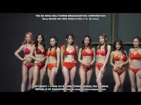 TRE Taipei Red Expo 2019 Sunday (Sony A6300) (Series 4 of 4) (TAE Taiwan Adult Expo)