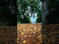 Short Nostalgic Status Video WhatsApp Status Music Status Song Nature Feelings