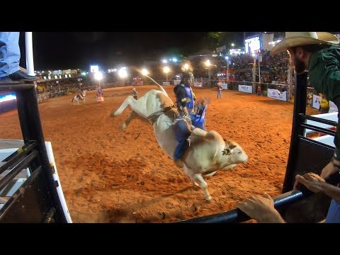 Final do Rodeio de Umuarama-PR 2019 | CLASSIFICATÓRIA