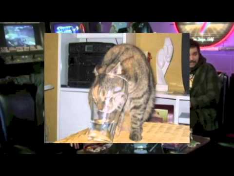 Mega64 Podcast 287 - Having Kids