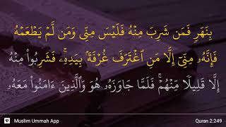 Download lagu Al Baqarah ayat 249... mp3