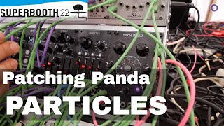 Video thumbnail for SUPERBOOTH 2022 Patching Panda Particles  - Variation Generator by sonicstate