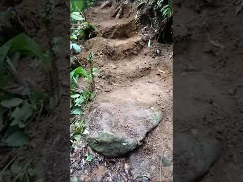 Rio Celeste Guatuso Alajuela