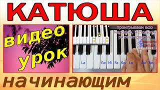 Катюша~Урок фортепиано~синтезатор~аккорды-текст~Katyusha~Dm piano tutorial