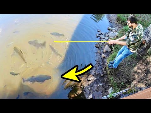 NO ONE SHOULD BE ALLOWED TO FISH HERE!! (BUT I DID)