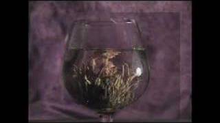 Chemicals Collide- Cloud Cult