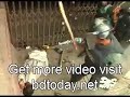 Shapla Chattor Massacre Uncovering The Truth 5 May 2013