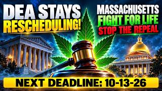DEA Judge Delays Rescheduling until Oct. 13th; Jim Belushi supports Stop the Repeal in MA No on 8!