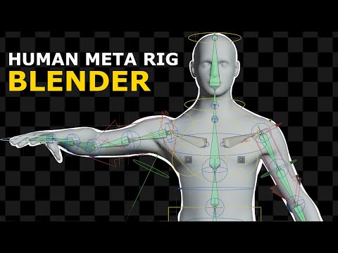 Tutorial: Human Meta Rig | Beginners Blender