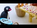 Pingu The Foodie Pingu Official Channel Cartoons For Kids