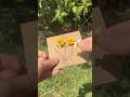 cute things to do when you’re bored this summer 🌼☀️ @deryatavas