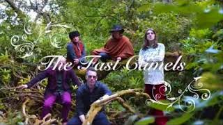 The Fast Camels - Dead Celebs