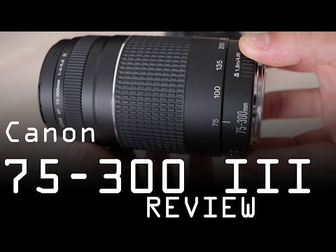 Video thumbnail for Video Review 2