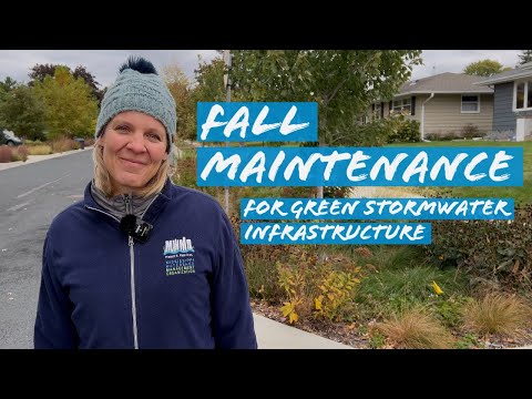 Fall Maintenance for Tree Trenches in Hoyer Heights - Minneapolis Green Stormwater Infrastructure