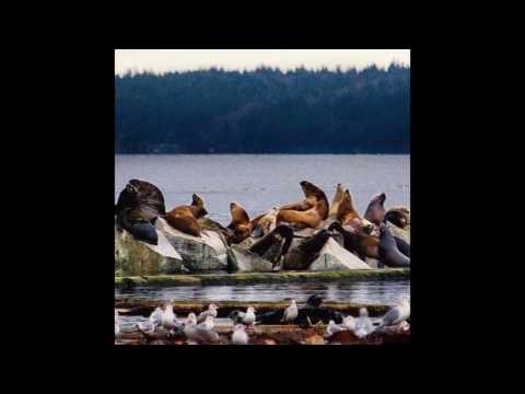 THE KNITTING INSTINCT EPISODE 2