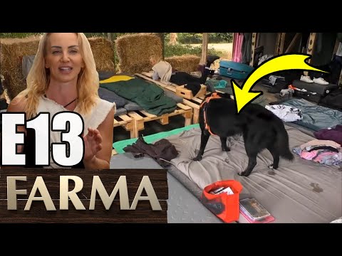 Farma 14 E13 - Dibuk na posteli a spalené placky