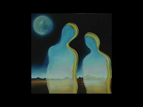 Flying Lotus x Pink Siifu x Action Bronson Type Beat - "Skies Dream"