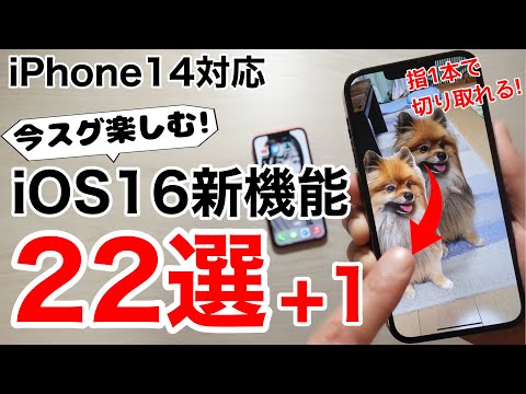 iOS 16: これらは最悪の機能のうちの 4 つです - オフにしてください
