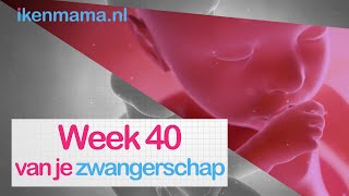40 weken zwanger | ikenmama.nl