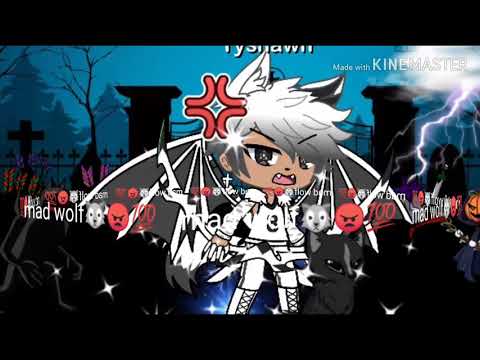 J.K BEATS mad wolf😠🐺💯💖💋