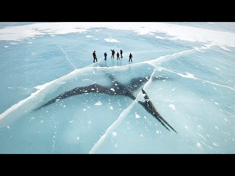 Riesiges Wesen gefroren entdeckt und weitere unglaubliche prähistorische Funde