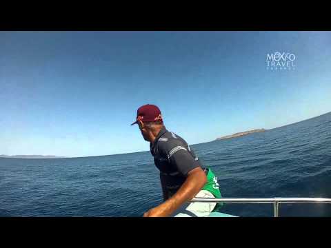 Entre el desierto y el mar