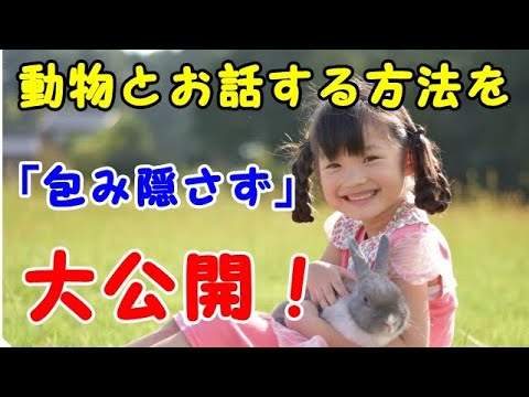 動物のコミュニケーション方法