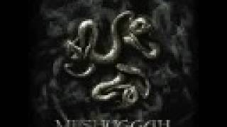 Meshuggah - The Paradoxical Spiral / Entrapment