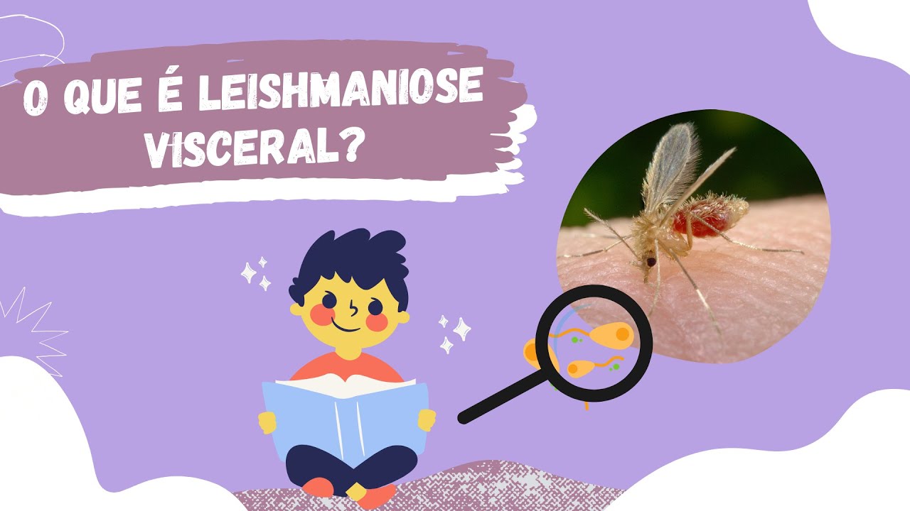 O que é Leishmaniose Visceral?