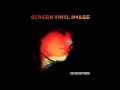 Screen Vinyl Image - Slipping Away 