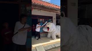 Download lagu ikbal di kejar can macanan masuk rumah lapor minta tolong mas doyok mp3
