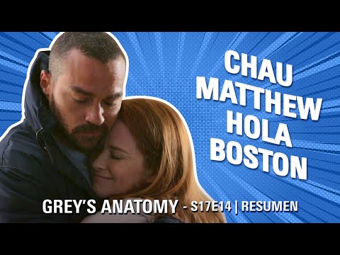 Grey's Anatomy 17x14 | JACKSON VISITA A APRIL | Resumen + 17x15 Trailer