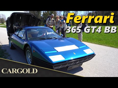 Cargold Youtube