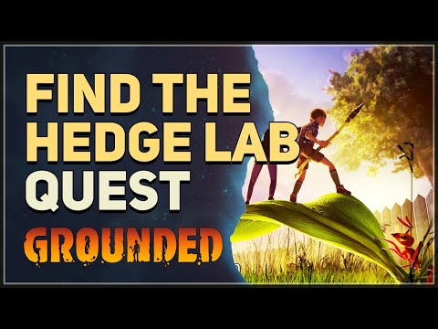 Find the Hedge Lab Grounded