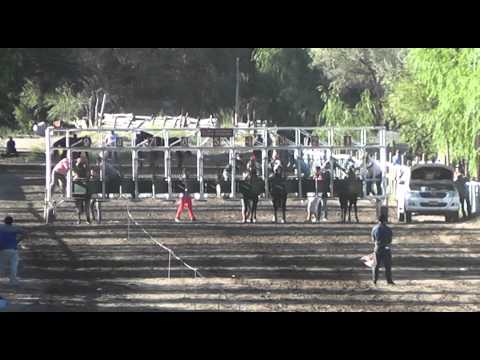 Totaly - Vista Alegre 22 de marzo