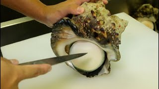 世界最大のサザエを捌いて居酒屋で売ったら驚きの金額に！