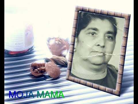 GIPSY KORO C.48 RACI AVRI  2019