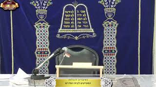 בית המדרש "תורת דוד" ¤ שידור חי ¤ ט"ו אלול תשפ"ה (8.9.2025) (מוסדות תורת דוד) - התמונה מוצגת ישירות מתוך אתר האינטרנט יוטיוב. זכויות היוצרים בתמונה שייכות ליוצרה. קישור קרדיט למקור התוכן נמצא בתוך דף הסרטון