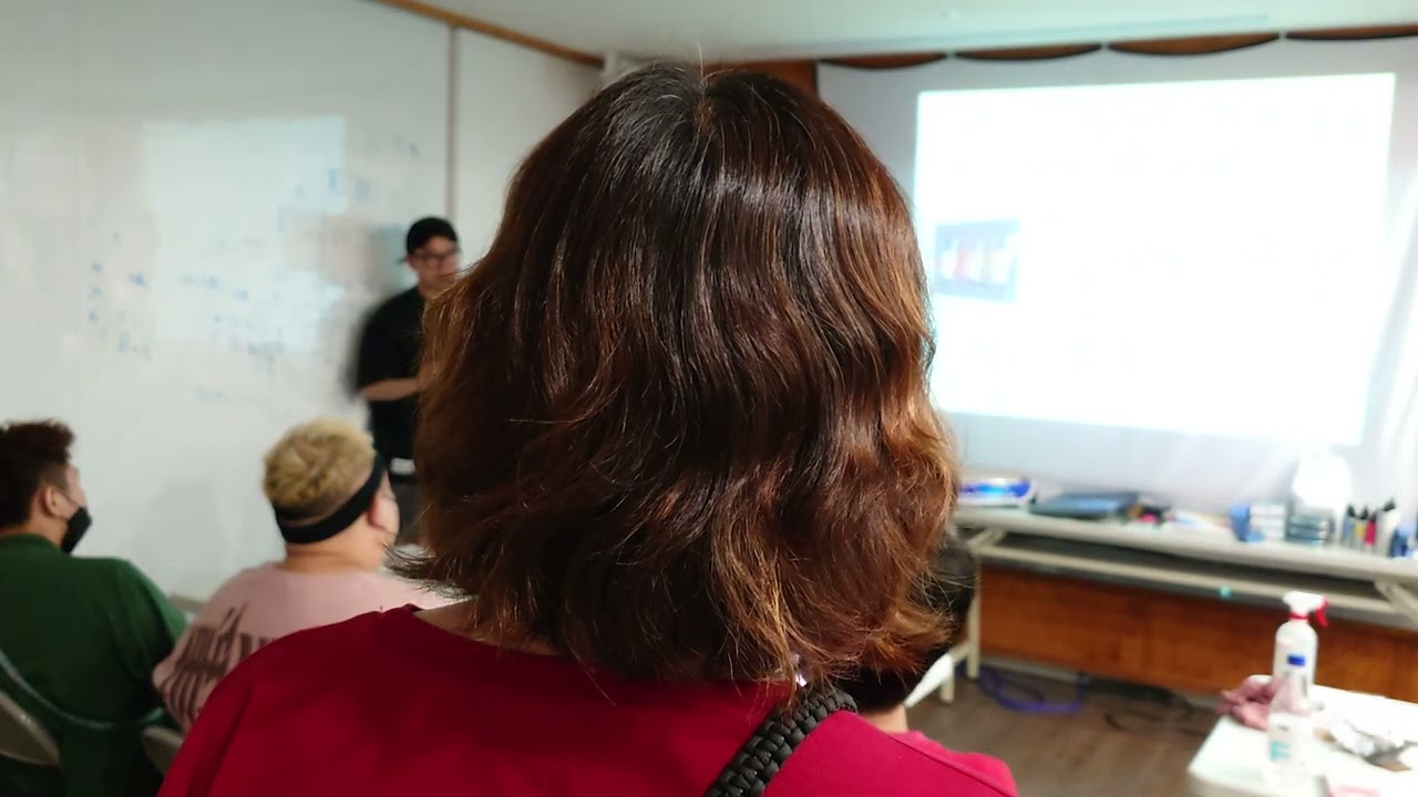 迭代染髮系統課D1-2