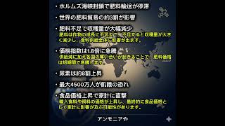 【衝撃】戦争で“食料消滅”…4500万人が飢餓へ #ニュース解説 #一分でわかる #時事ネタ #国際ニュース #食料危機 #中東情勢 #肥料 #物価上昇