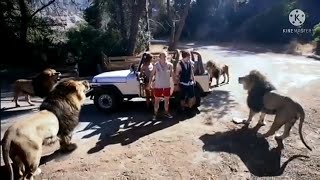 New hollywood jungle  HINDI dubbed movie 2021  ZOO