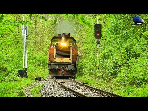 Torpila~82-0562-7 & Mecanic Super Engineer in Muntii Apuseni Mountains - 01 May 2017