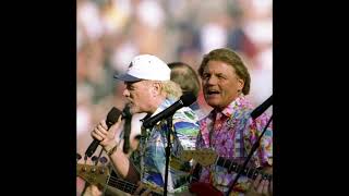 The Beach boys Live 1987  Come Go with Me