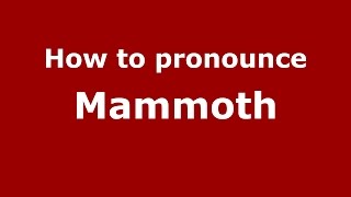 How to pronounce Mammoth