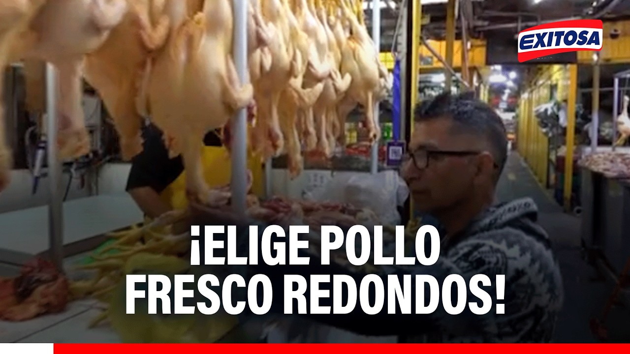 🔴🔵 ¡Elige pollo fresco Redondos!: Que tus comidas siempre empiecen por elegir un buen pollo