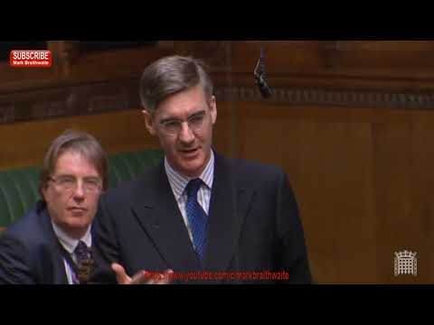 Jacob Rees-Mogg reveals the hypocrisy of Anna Soubry in Parliament