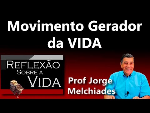 11 – Movimento Gerador da Vida - Reflexão sobre a vida