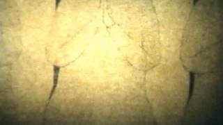 Atsushi Wada 'The thing of rotation of a child' (2004)