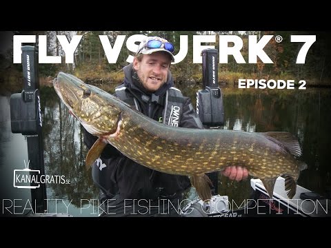 Fly vs Jerk 7 - EPISODE 2 - Kanalgratis.se
