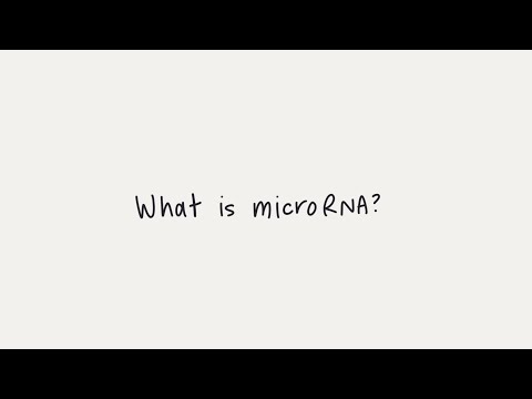 What is microRNA (miRNA)?